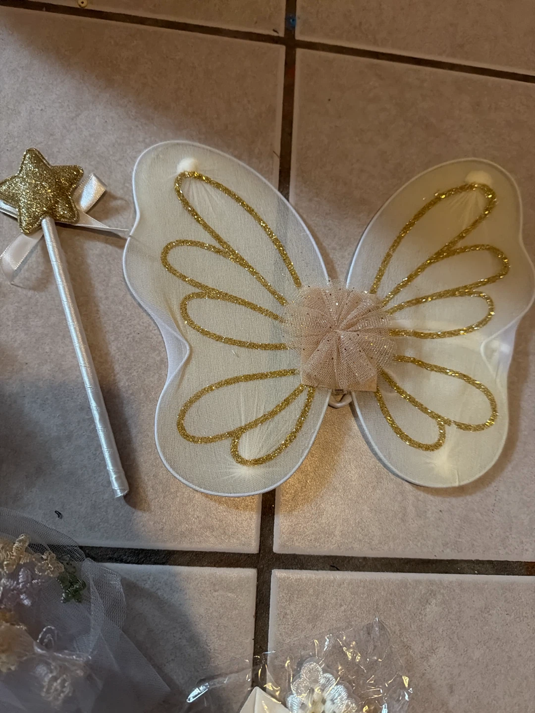 Fairy Costume Set with Wings and Wand