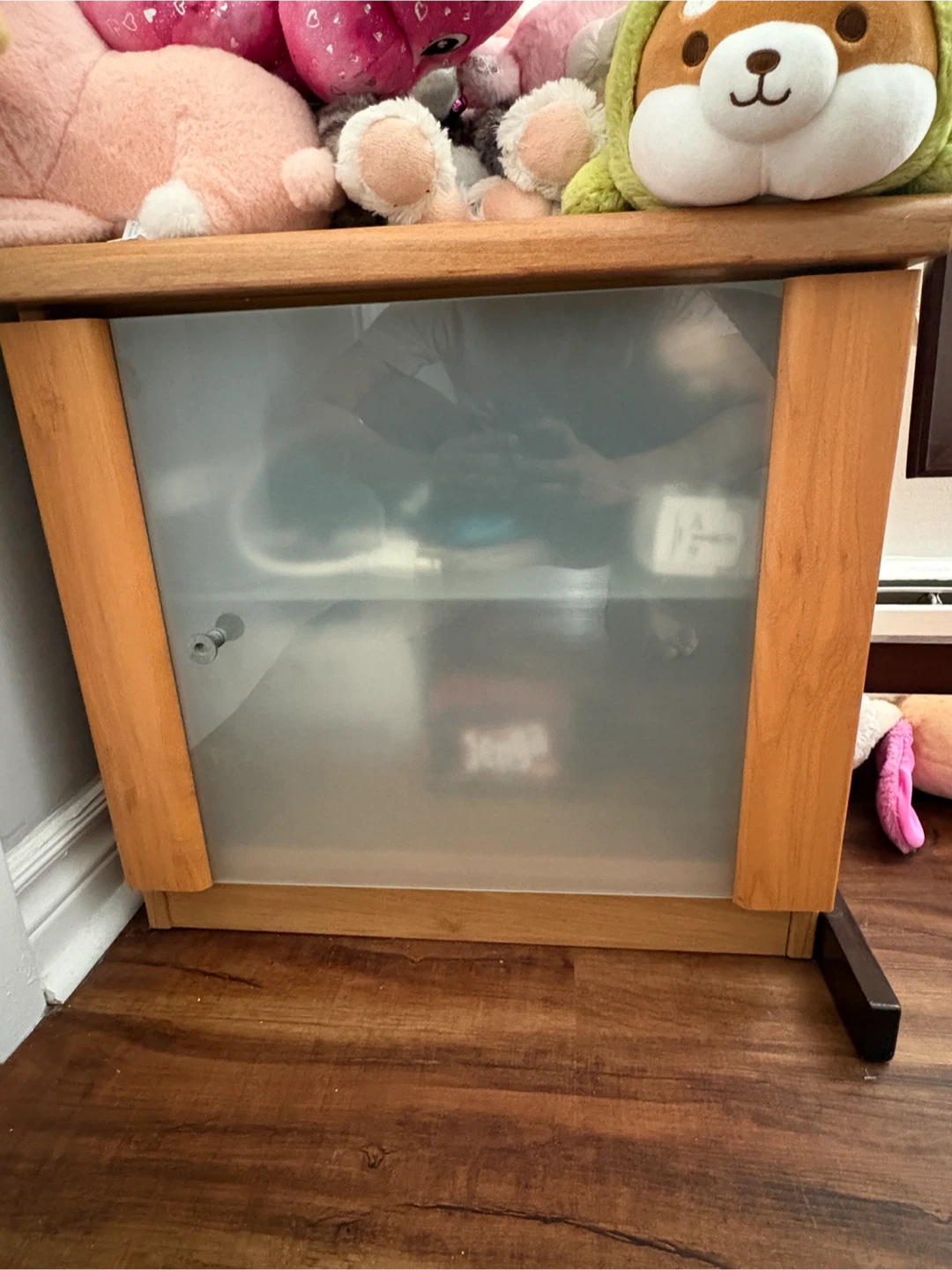 Wooden Storage Cabinet with Frosted Glass Door