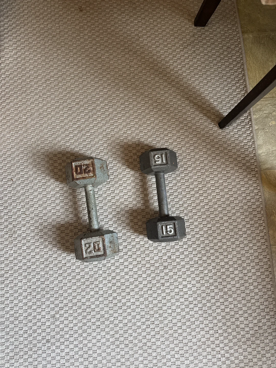 20 lb and 15 lb Dumbbells