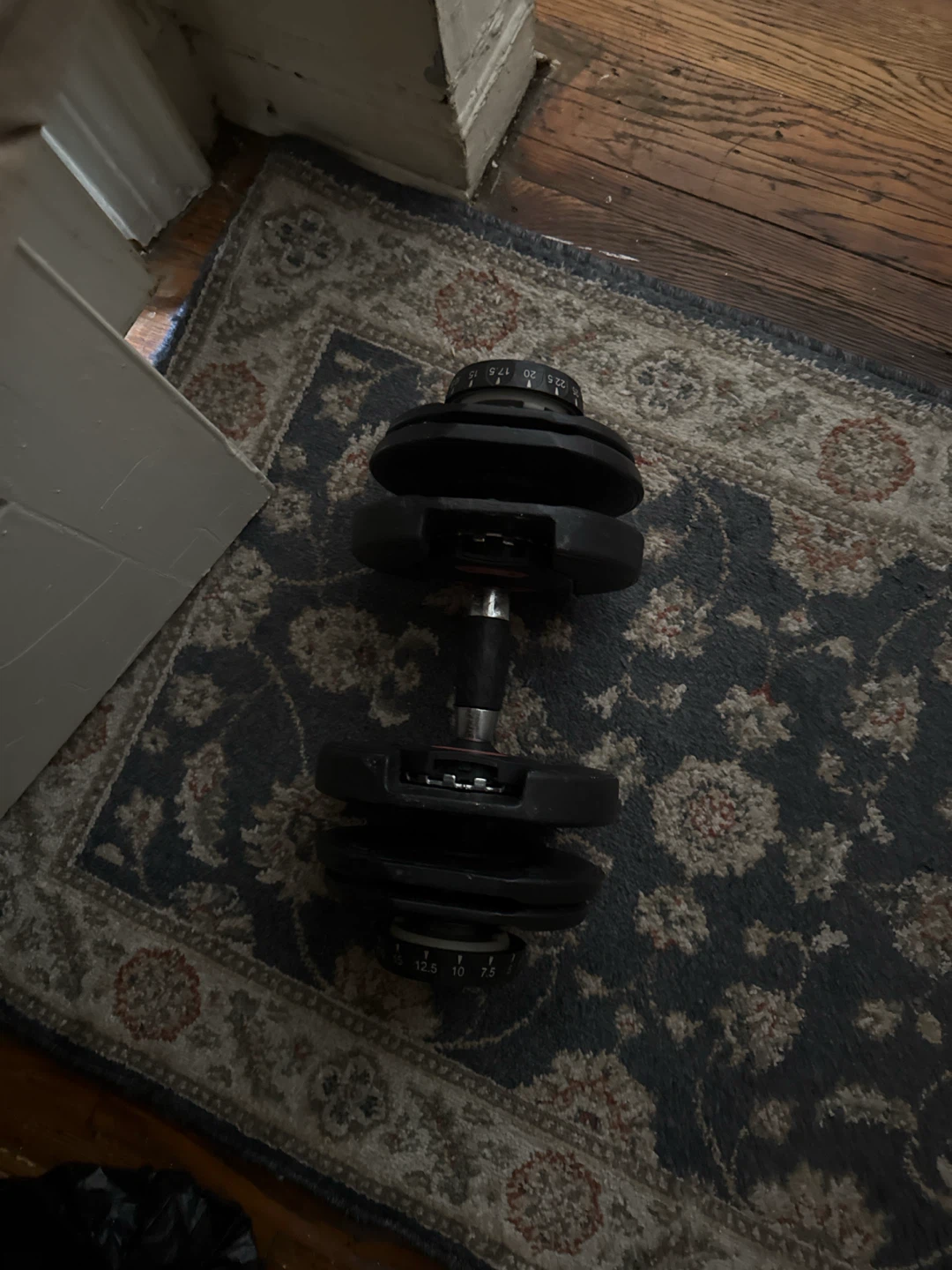 Adjustable Dumbbell