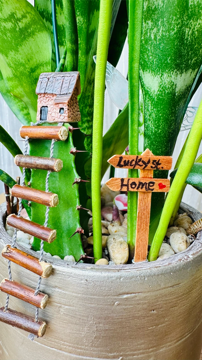 Super low maintenance plants fairy garden - photo 3