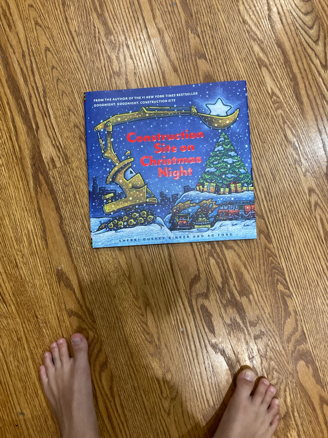 Construction Site on Christmas Night Book