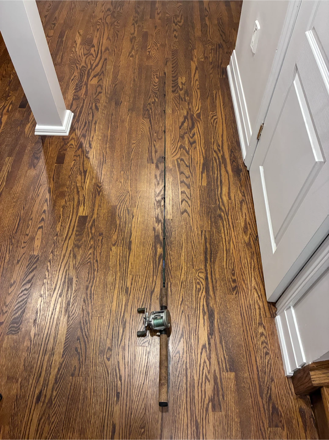 Fishing Rod and Reel Combo - photo 2