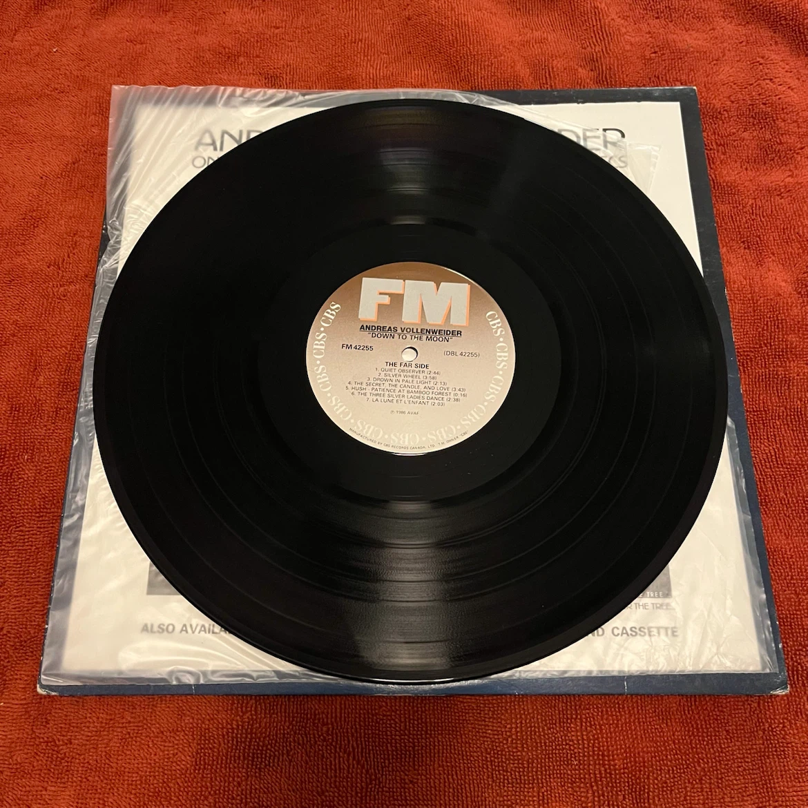 Andreas Vollenweider Down to the Moon Vinyl Record - photo 2