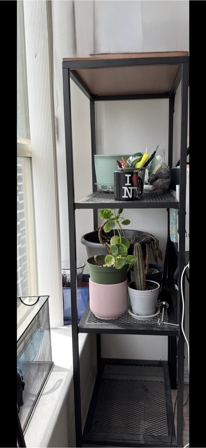 Shelf