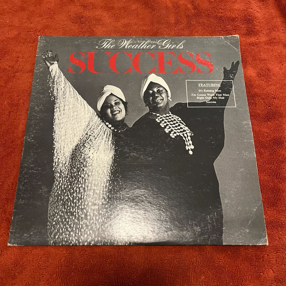 The Weather Girls Success Vinyl Record