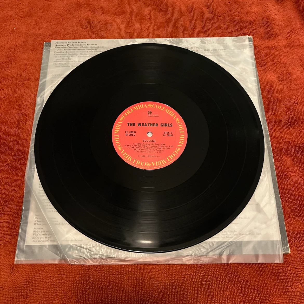The Weather Girls Success Vinyl Record - photo 2