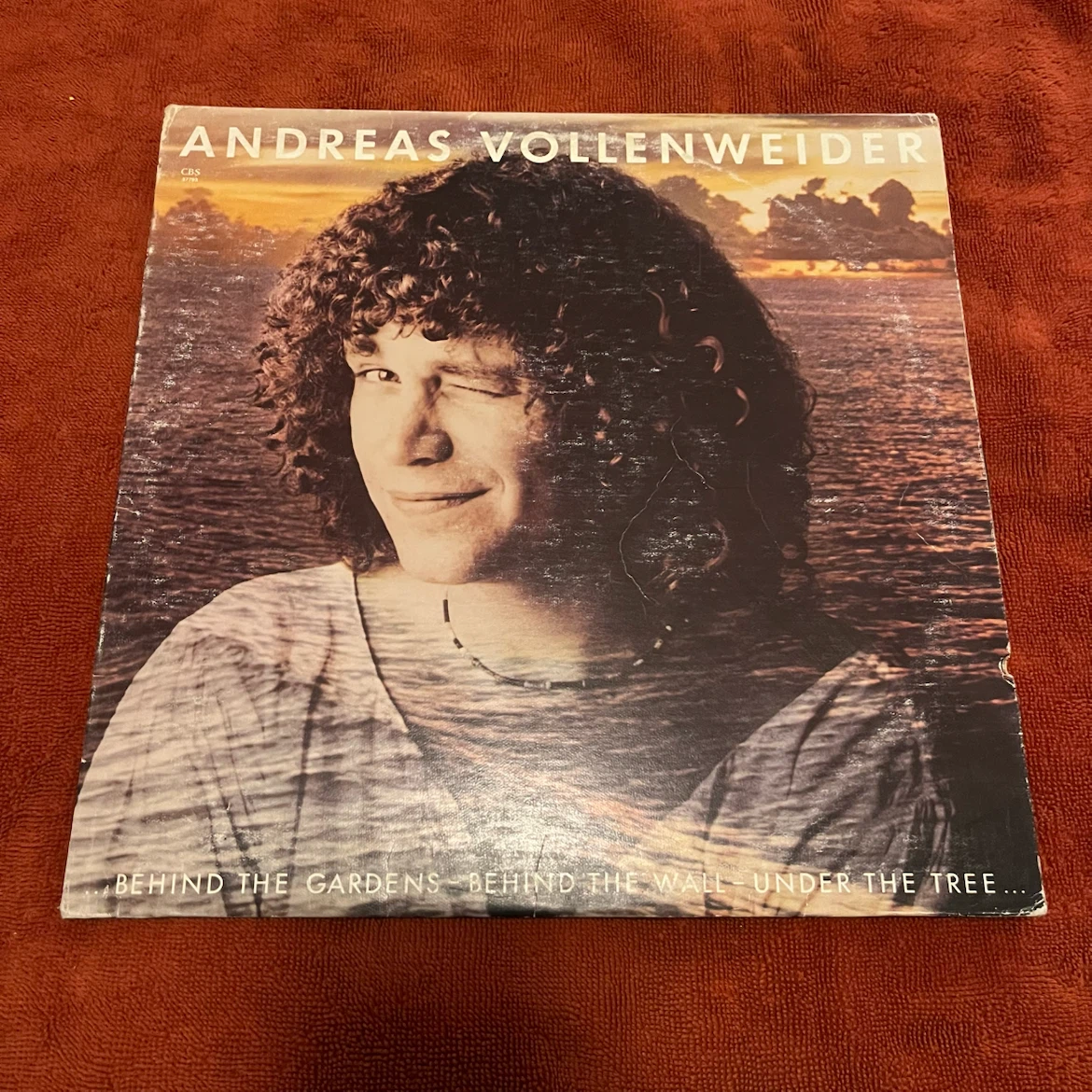 Andreas Vollenweider Behind the Gardens