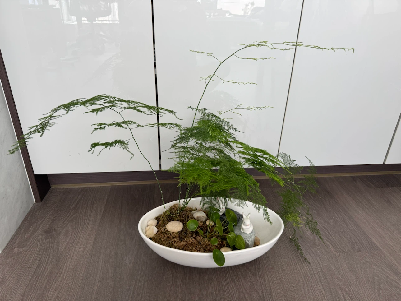 Asparagus Fern Terrarium with Bunny Figurines - photo 2