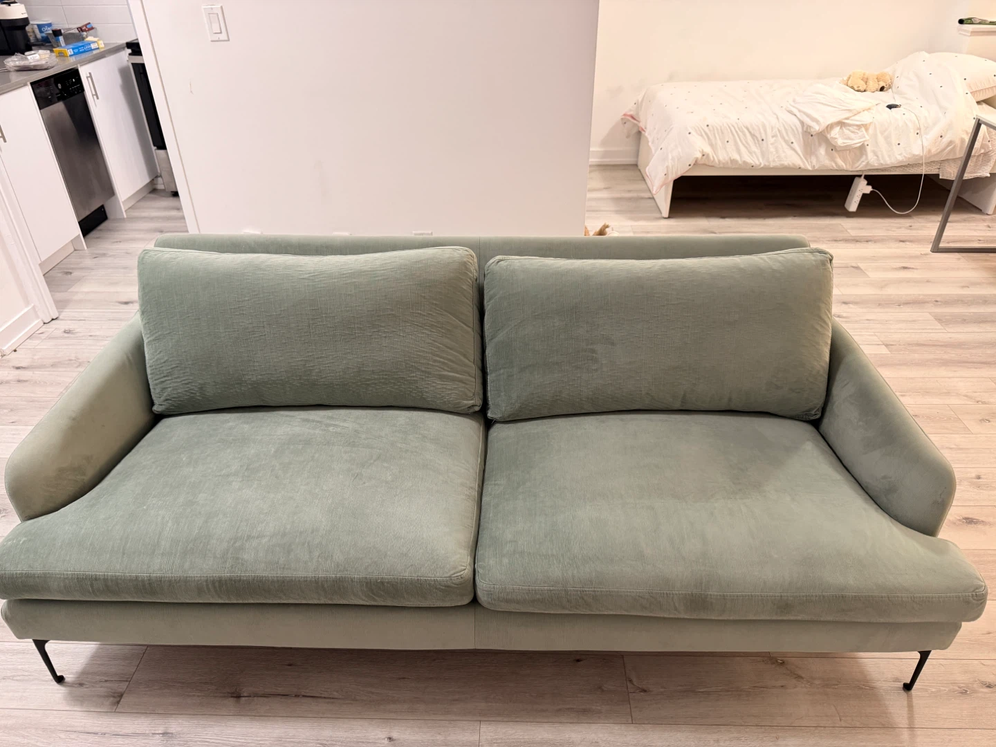 Light Green Velvet Sofa