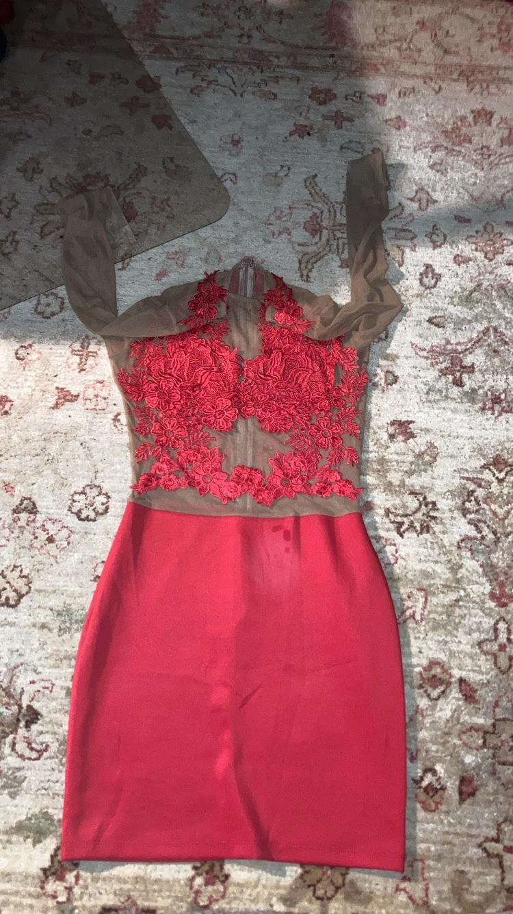 Red Lace and Sheer Sleeve Dress