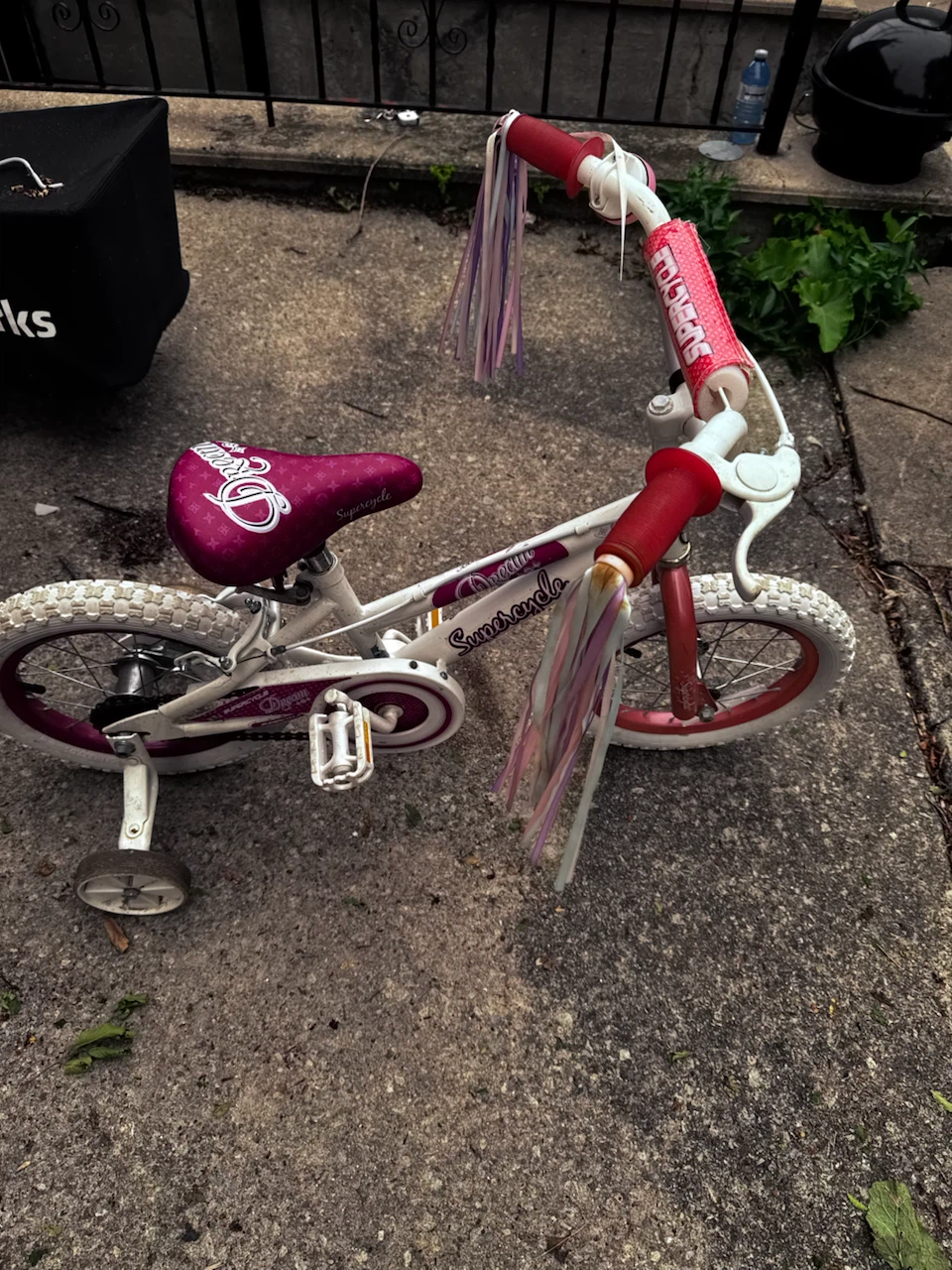 Kids' "Dream Supercycle" Bicycle with Training Wheels