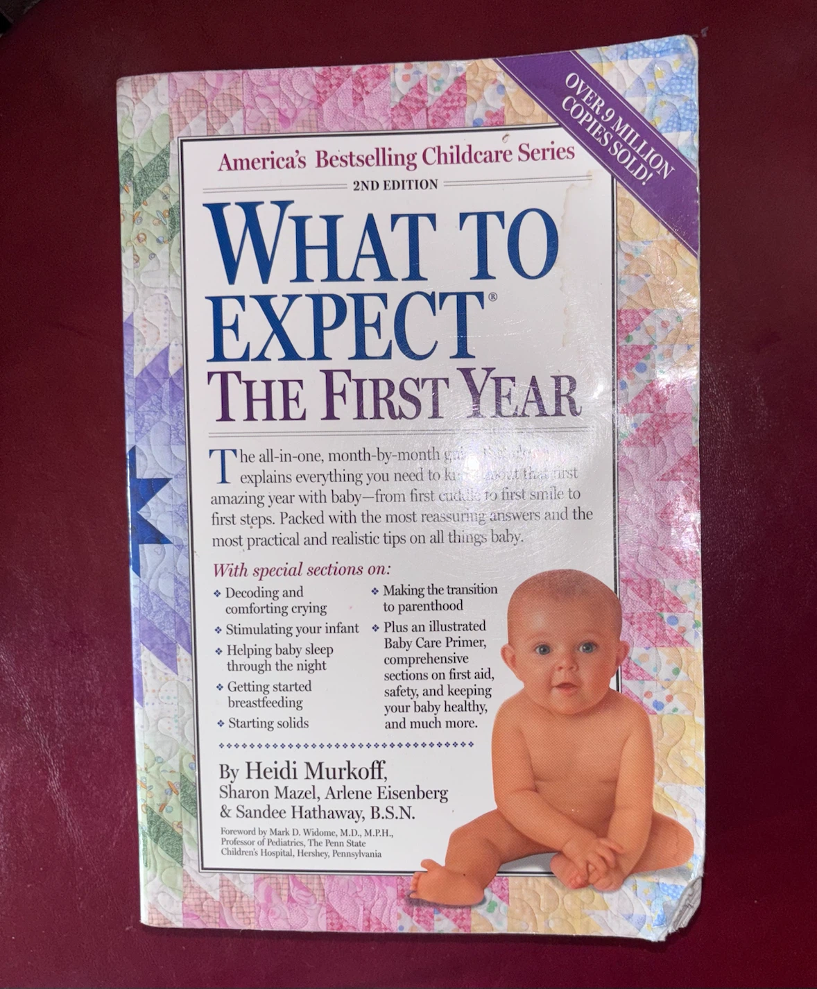 What to Expect The First Year Book