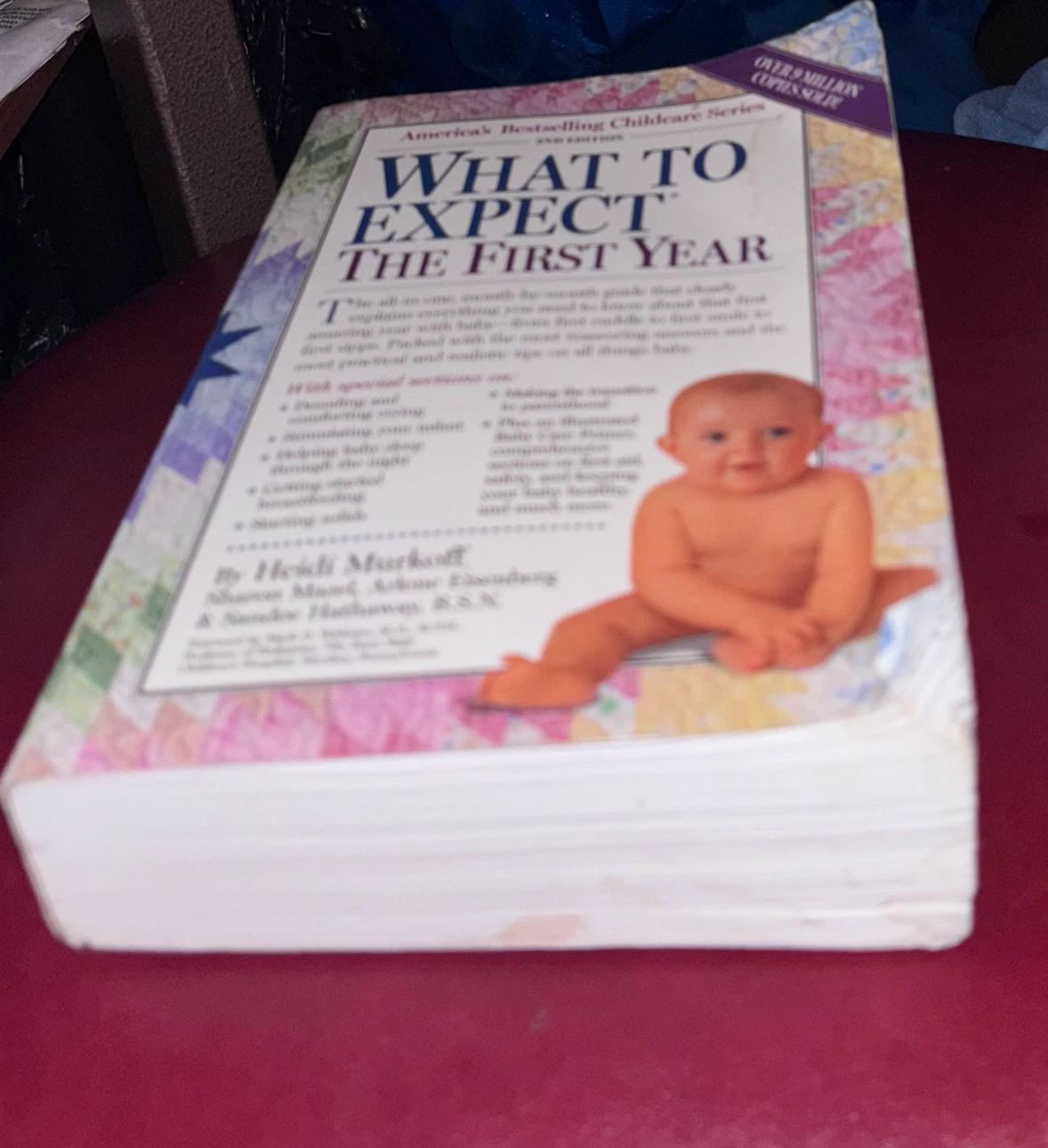 What to Expect The First Year Book - photo 2