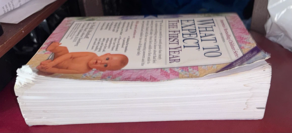 What to Expect The First Year Book - photo 3