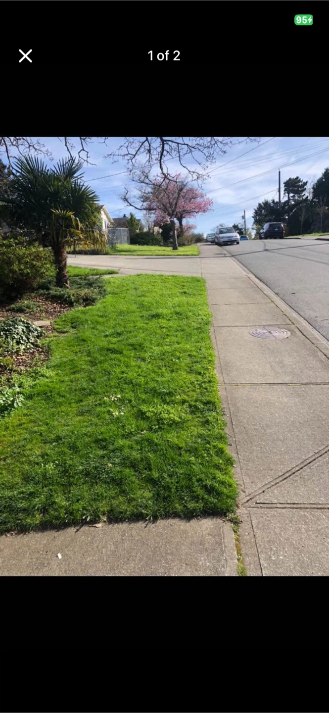 Lawn service