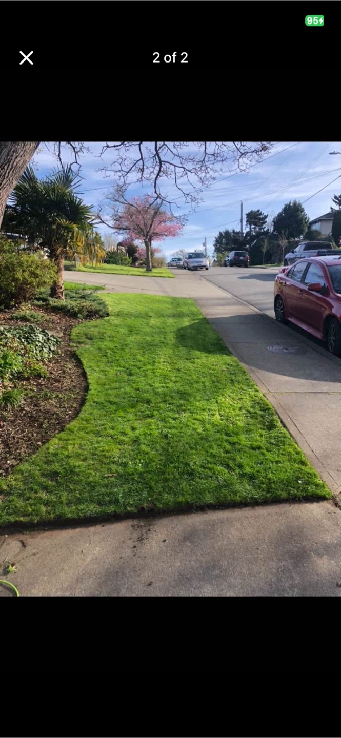 Lawn service - photo 2