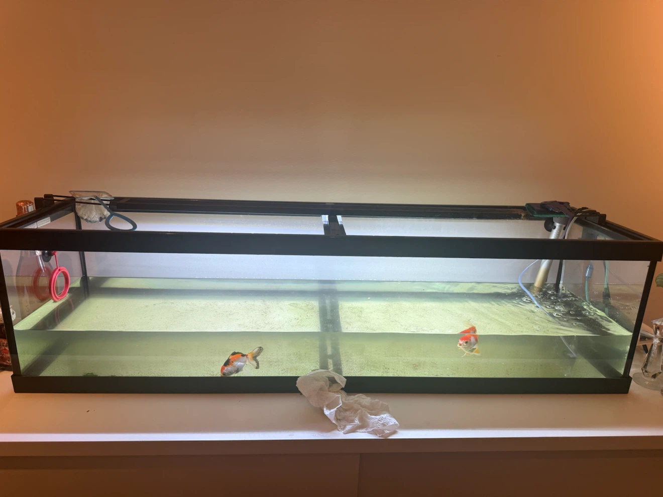 30 long gallon tank