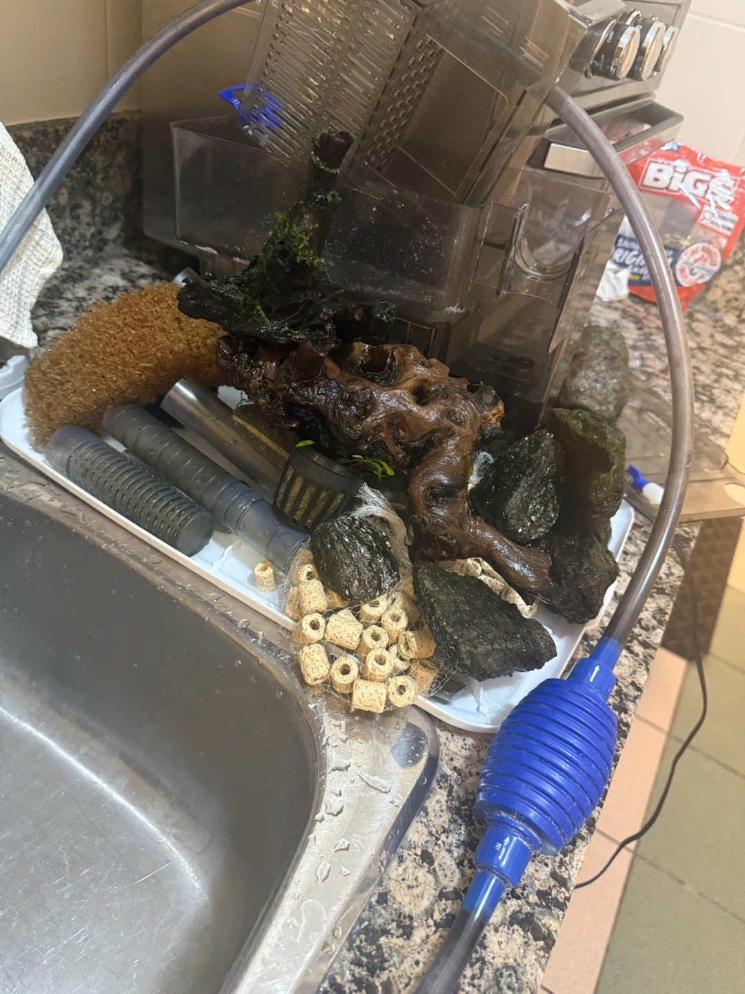 30 long gallon tank - photo 3