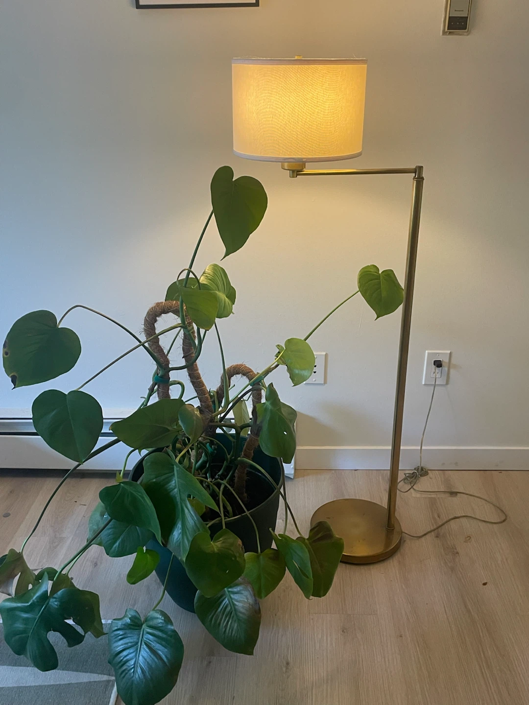 Brass Floor Lamp with Shade - photo 3