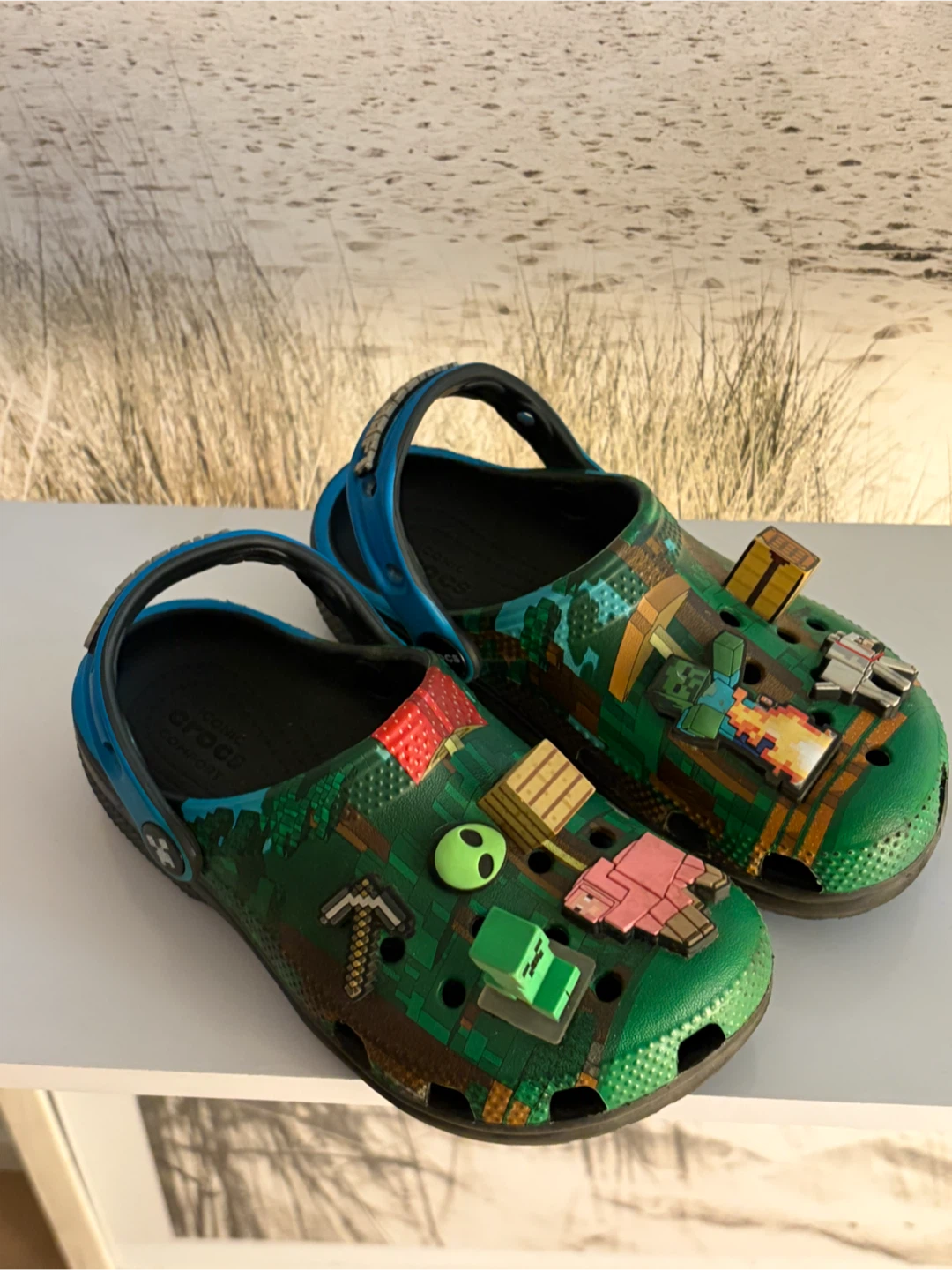 Crocs Minecraft Clogs