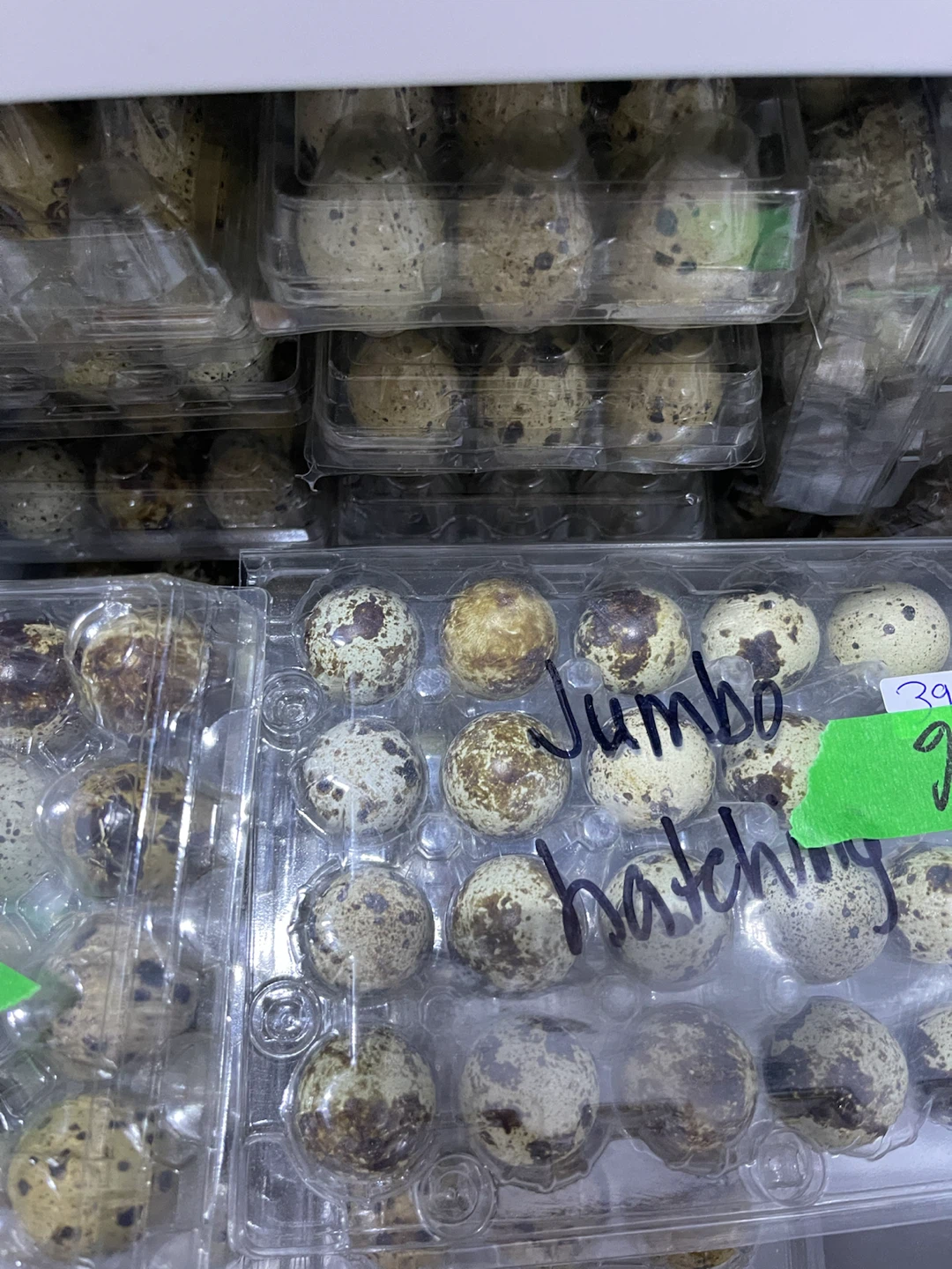 Egg for sale