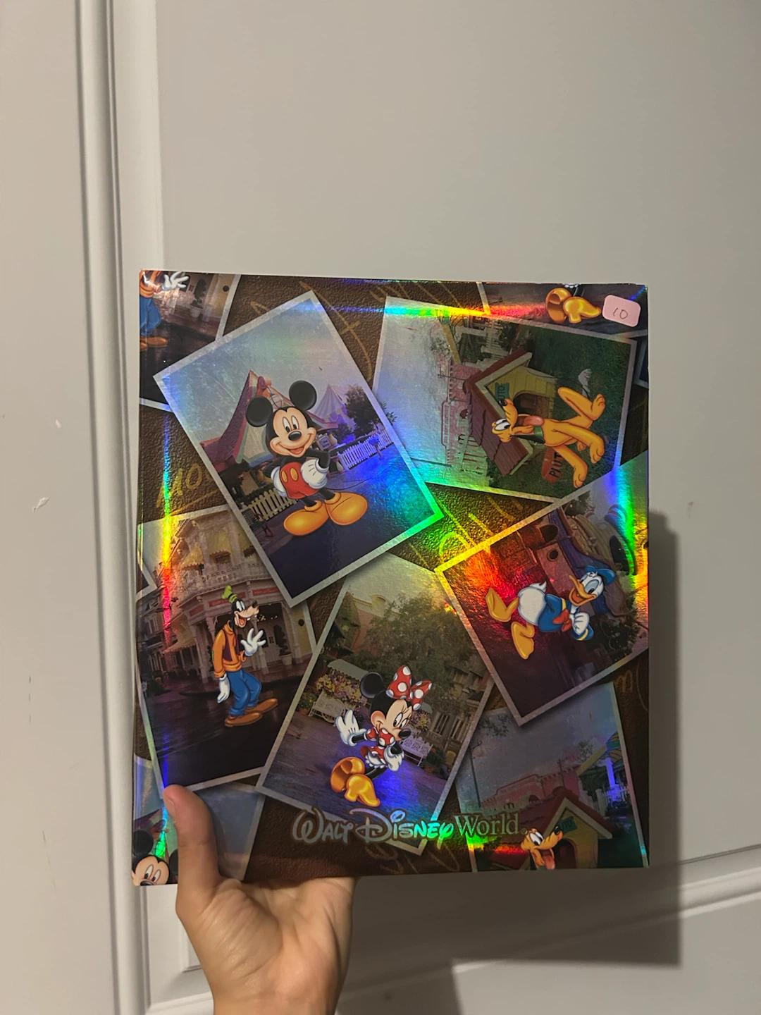 Walt Disney World Photo Album