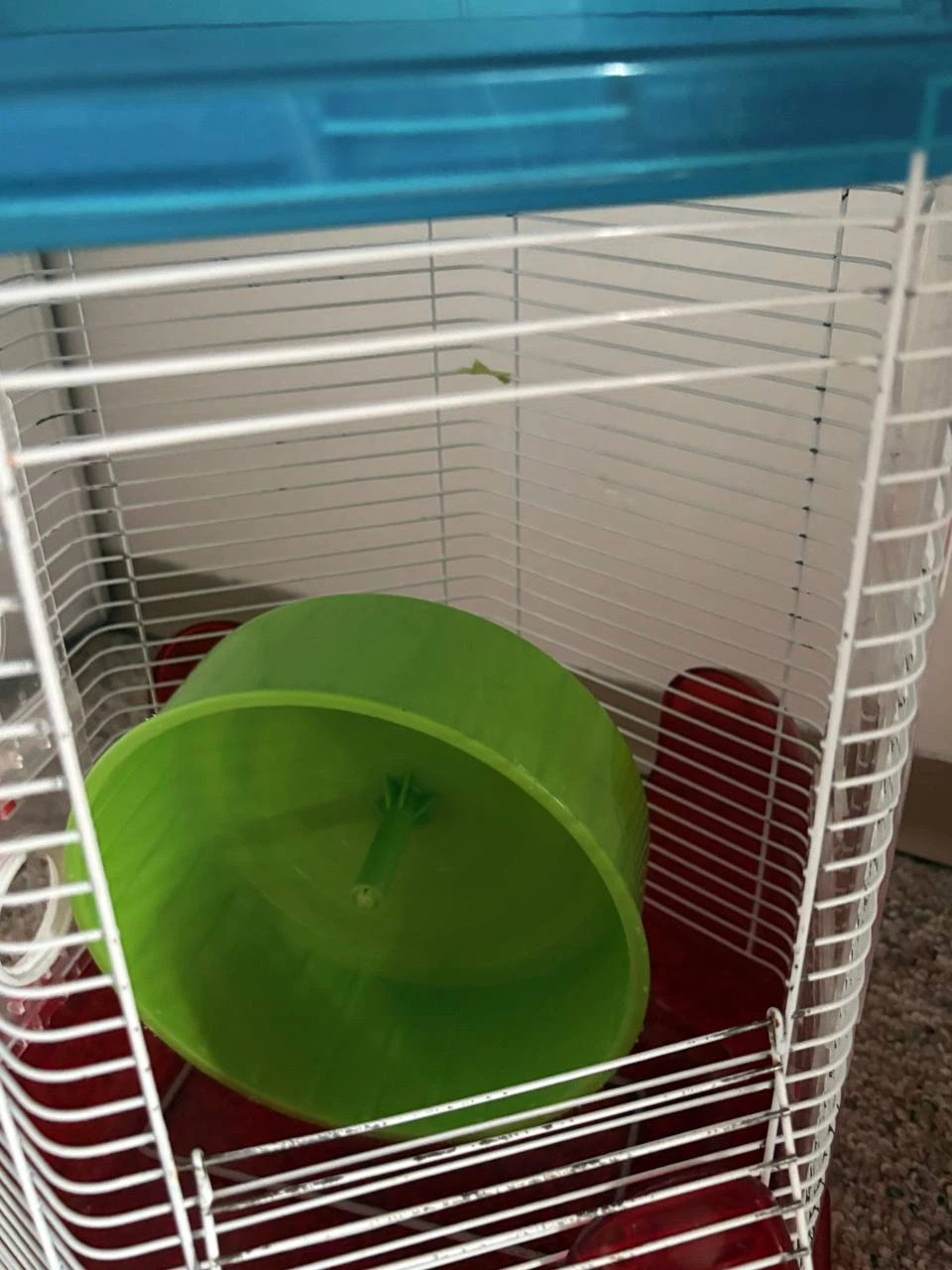 Hamster Cages with Accessories - photo 3