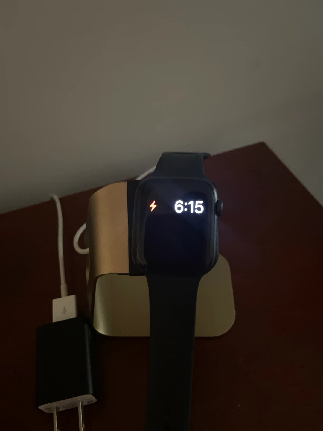 Apple Watch Series 6 44mm aluminum