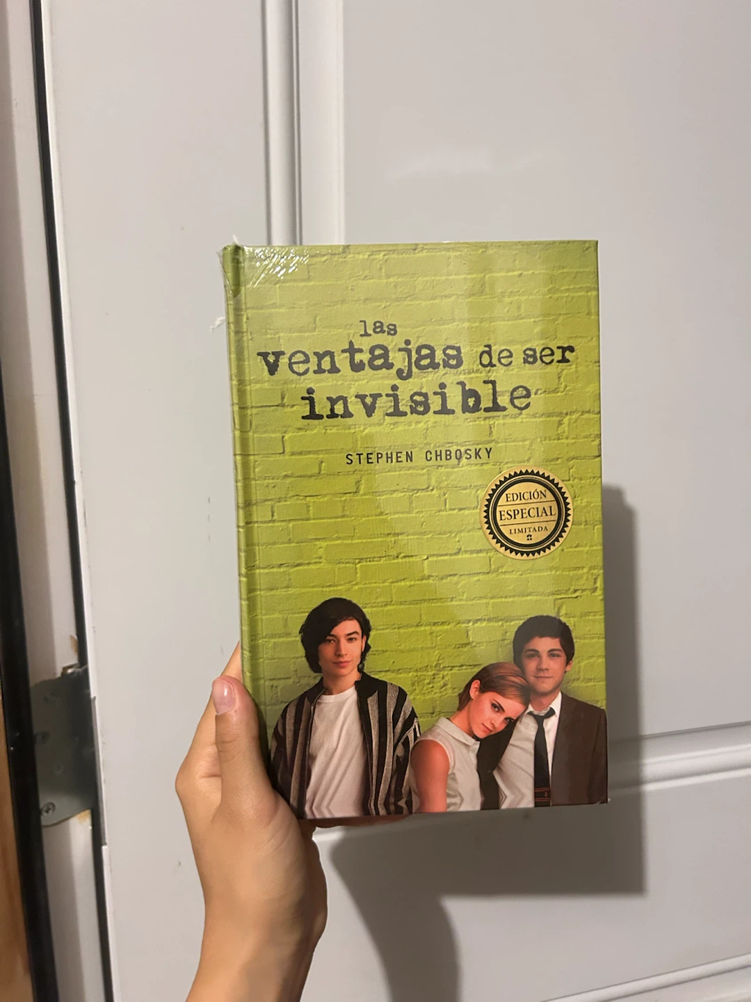 The Perks of Being a Wallflower Book in spanish