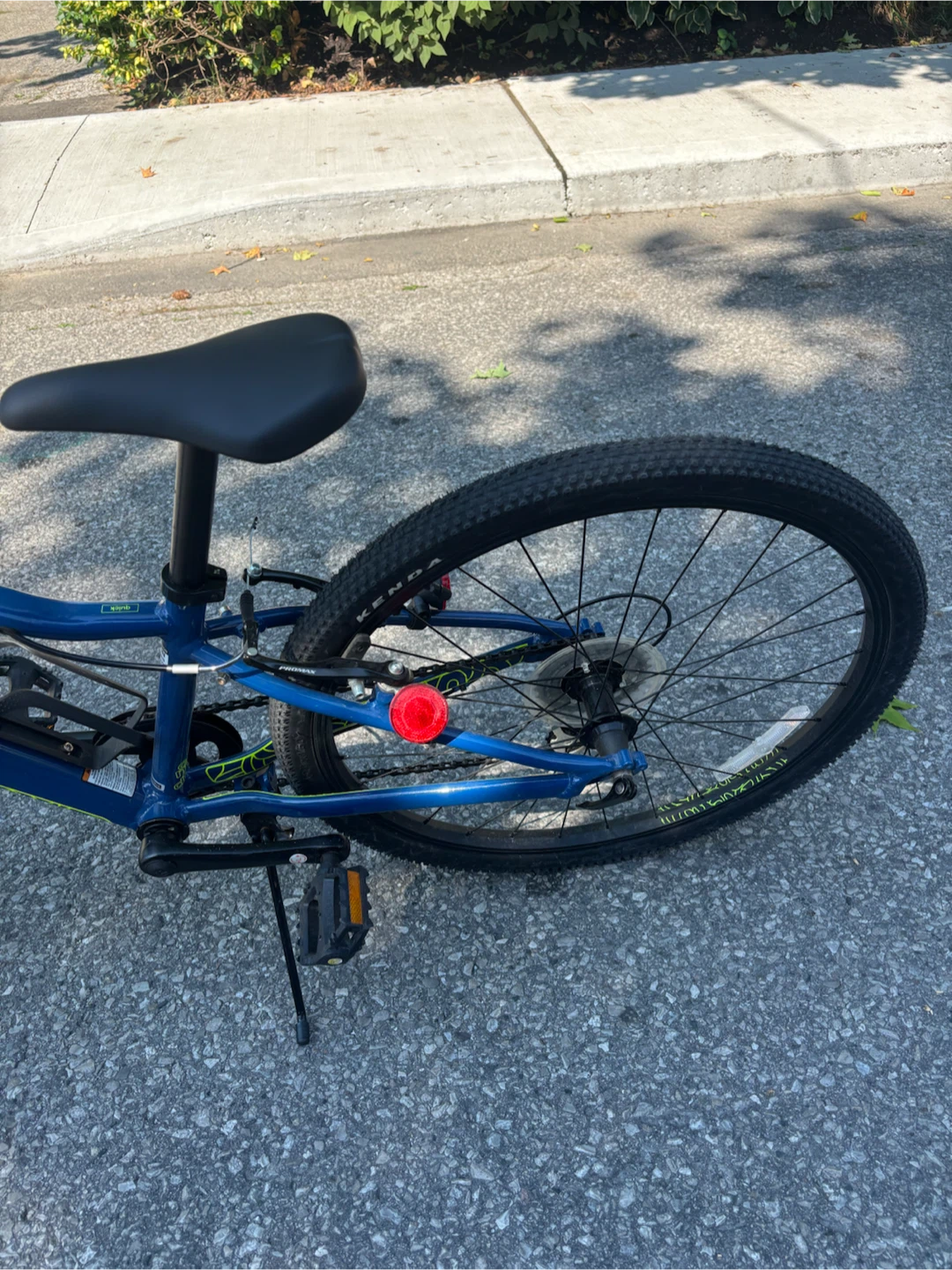 Cannondale Kids Bike