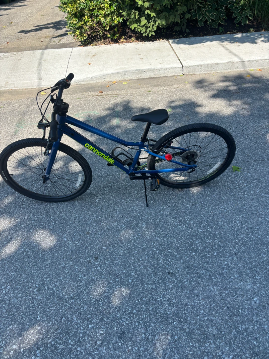 Cannondale Kids Bike - photo 3