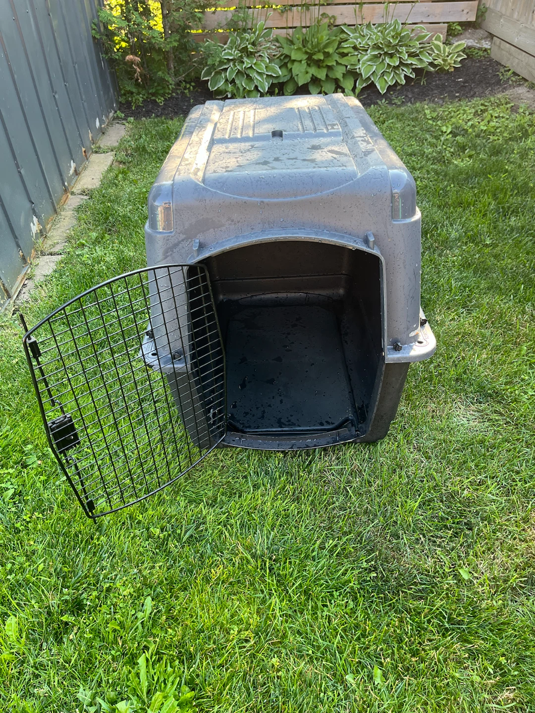 Grey Pet Carrier Crate