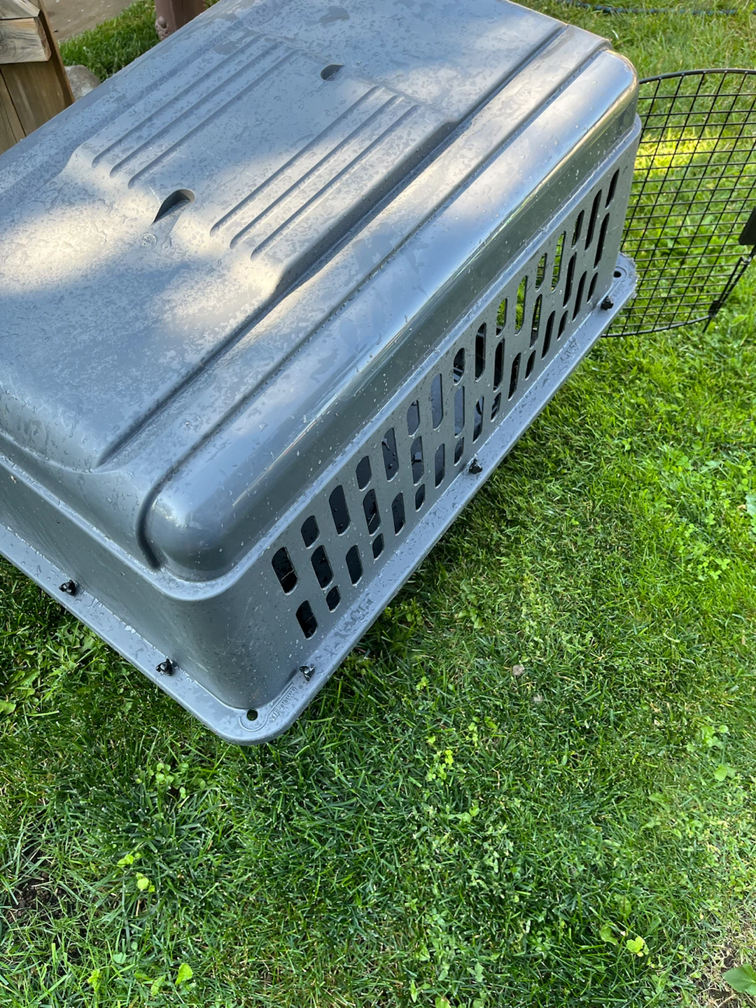 Grey Pet Carrier Crate - photo 4