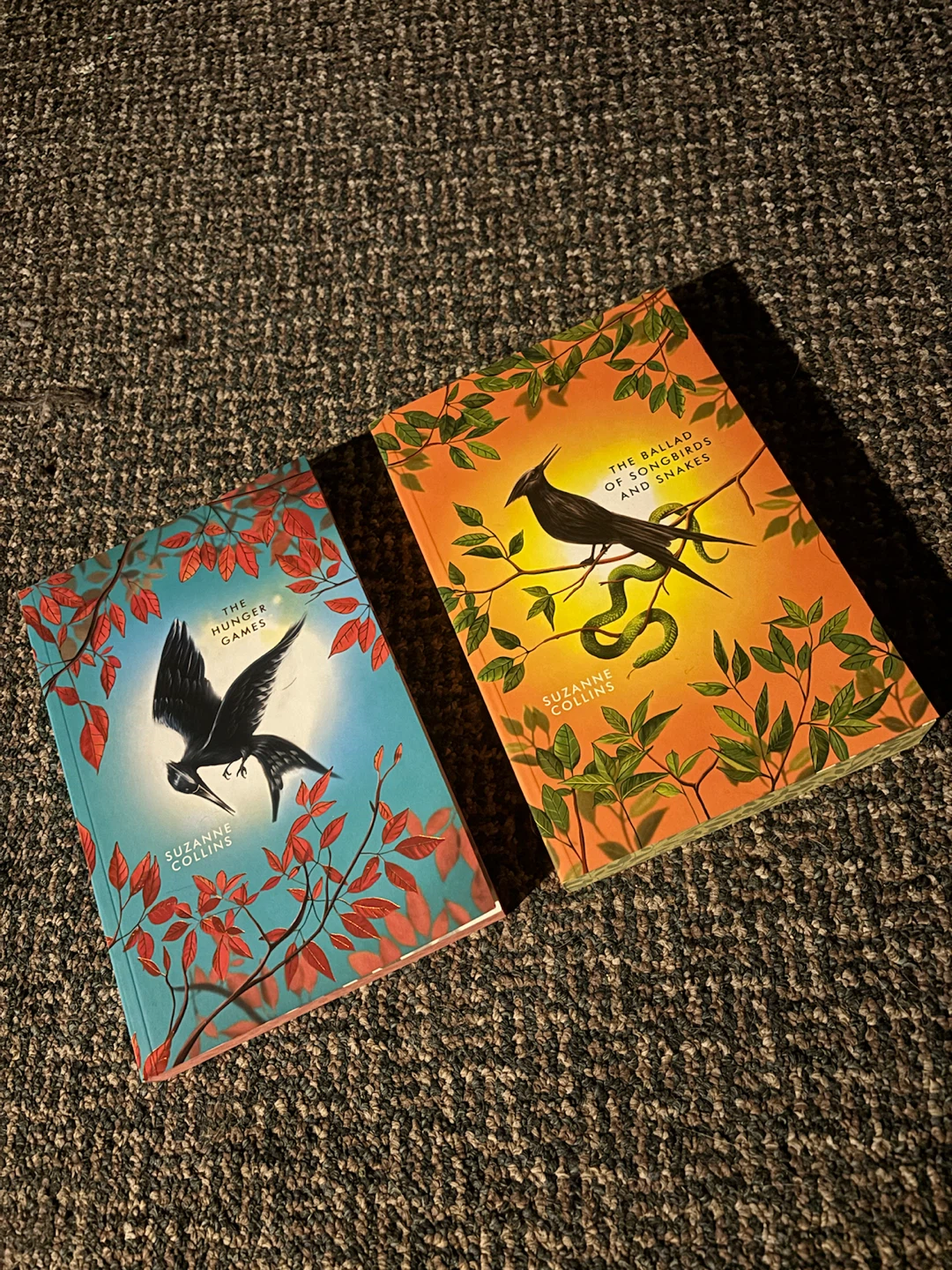 book series - photo 2