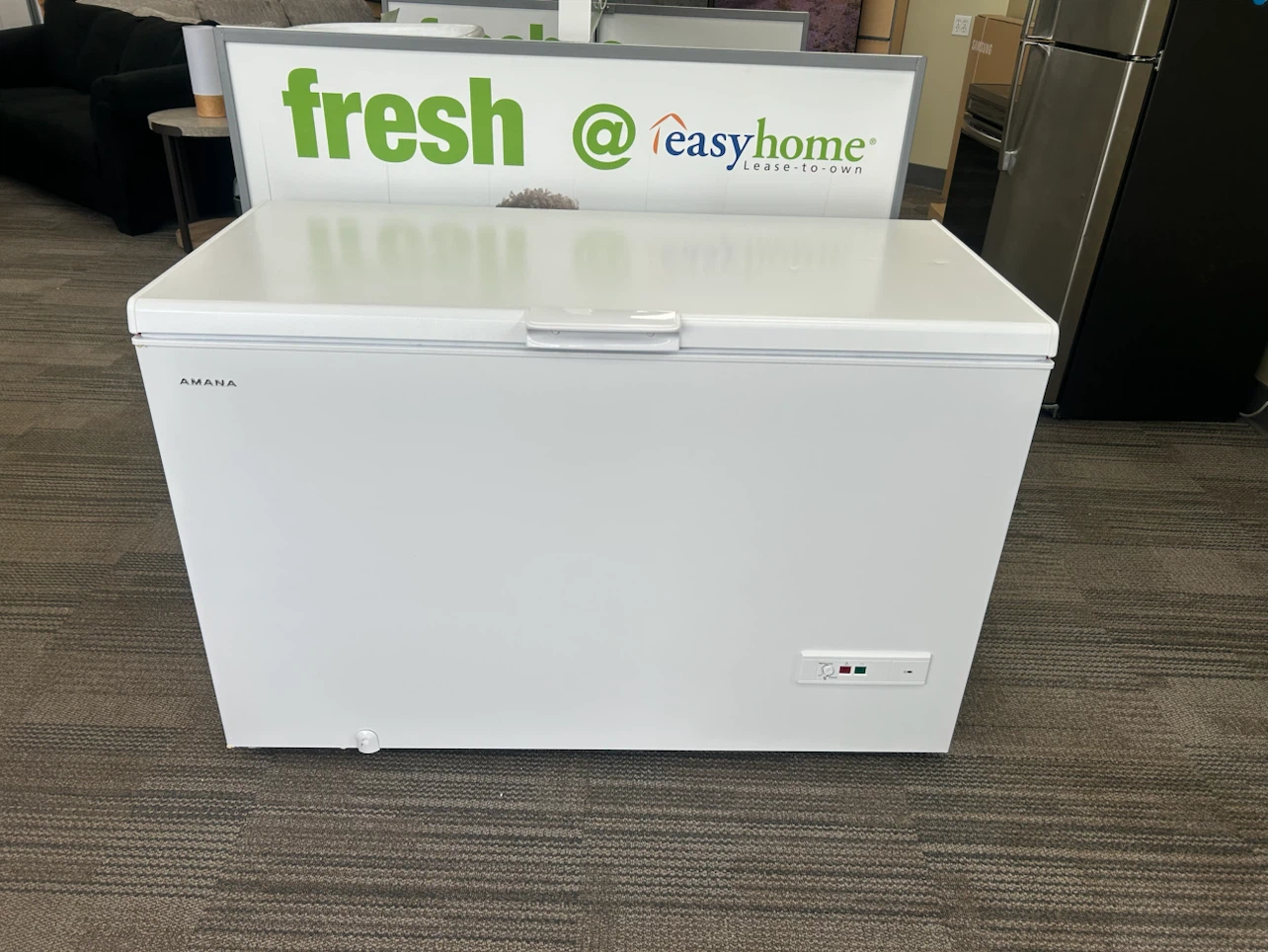 16 cu.ft. Chest freezer - photo 2
