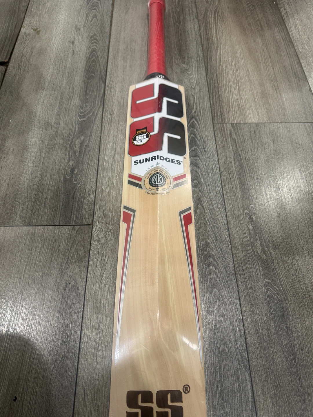 SS T20 Kashmir Willow Premium Cricket Bat – Limited Edition - photo 2