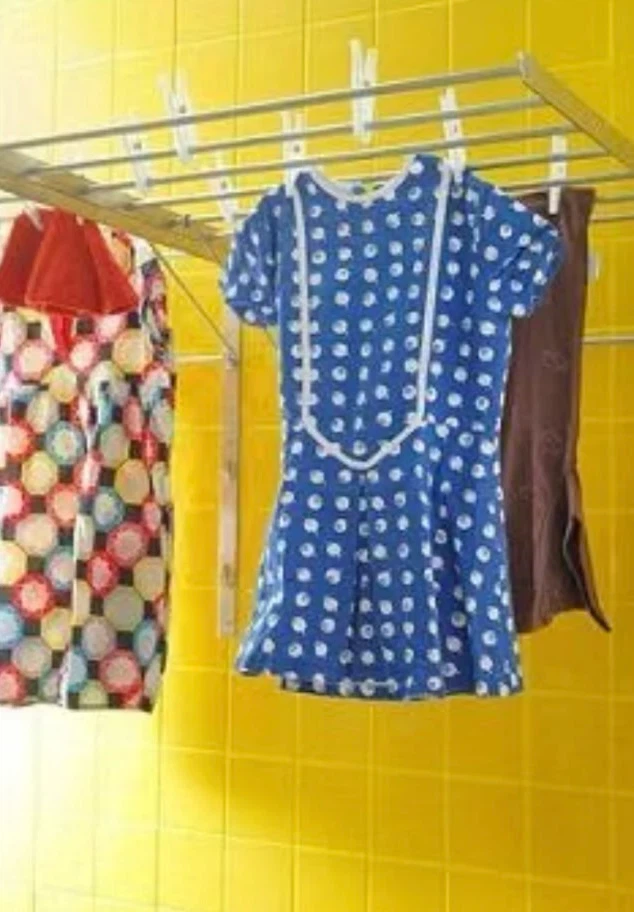 Wall-Mounted Drying Rack - photo 2