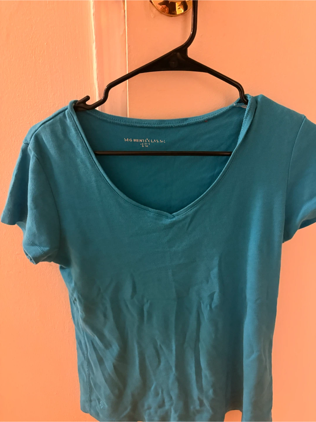 SEGMENTS CLASSIC Teal V-Neck T-Shirt