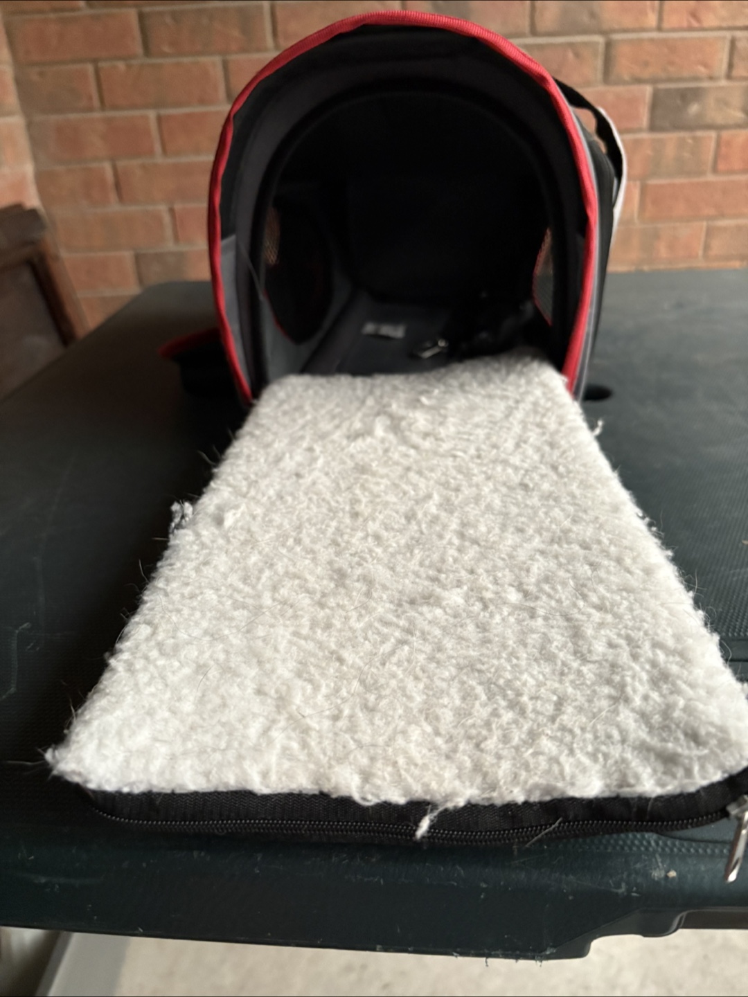 Pet Carrier - photo 4