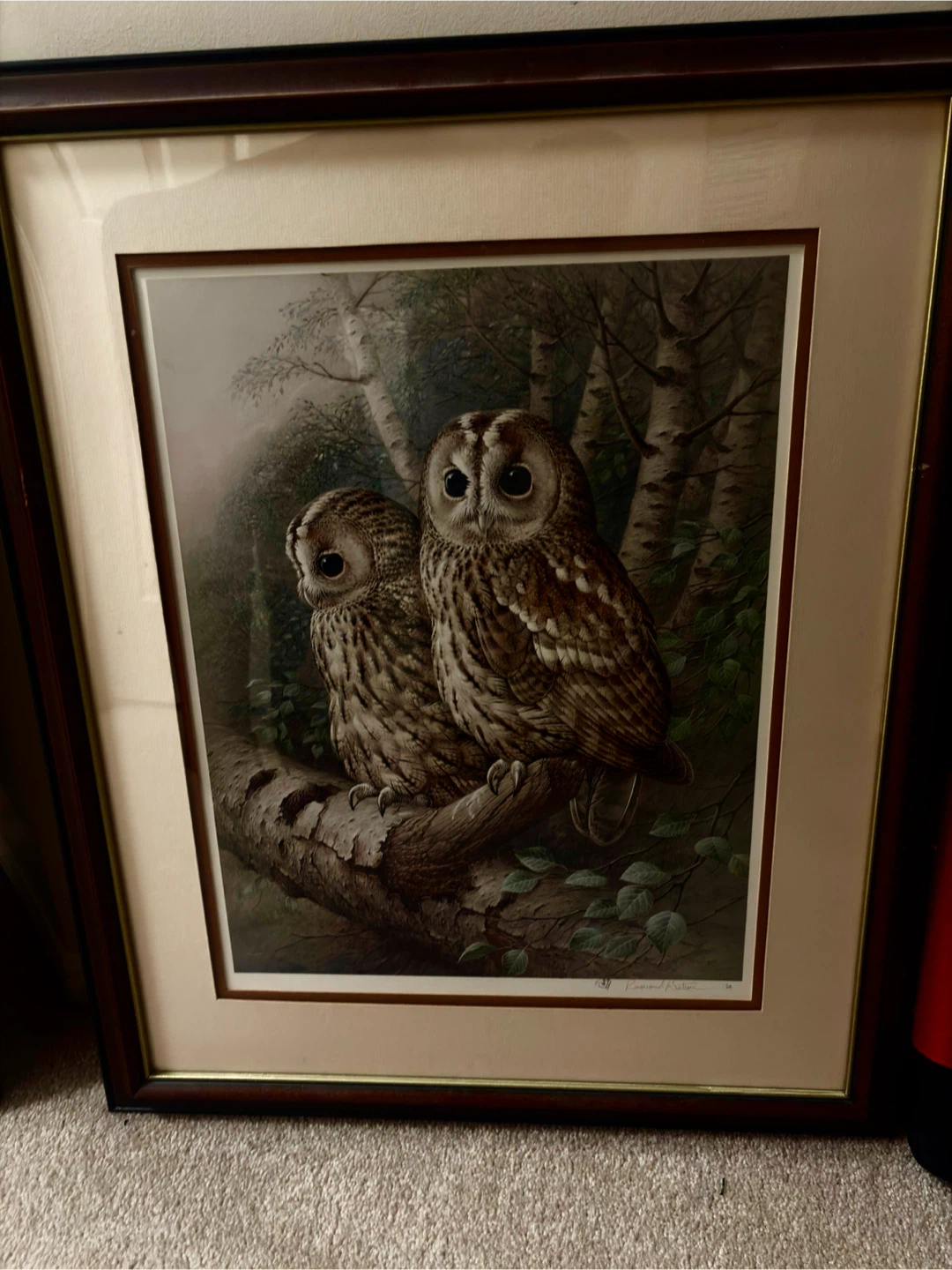 Raymond Watson The Tawny Owl Art Print
