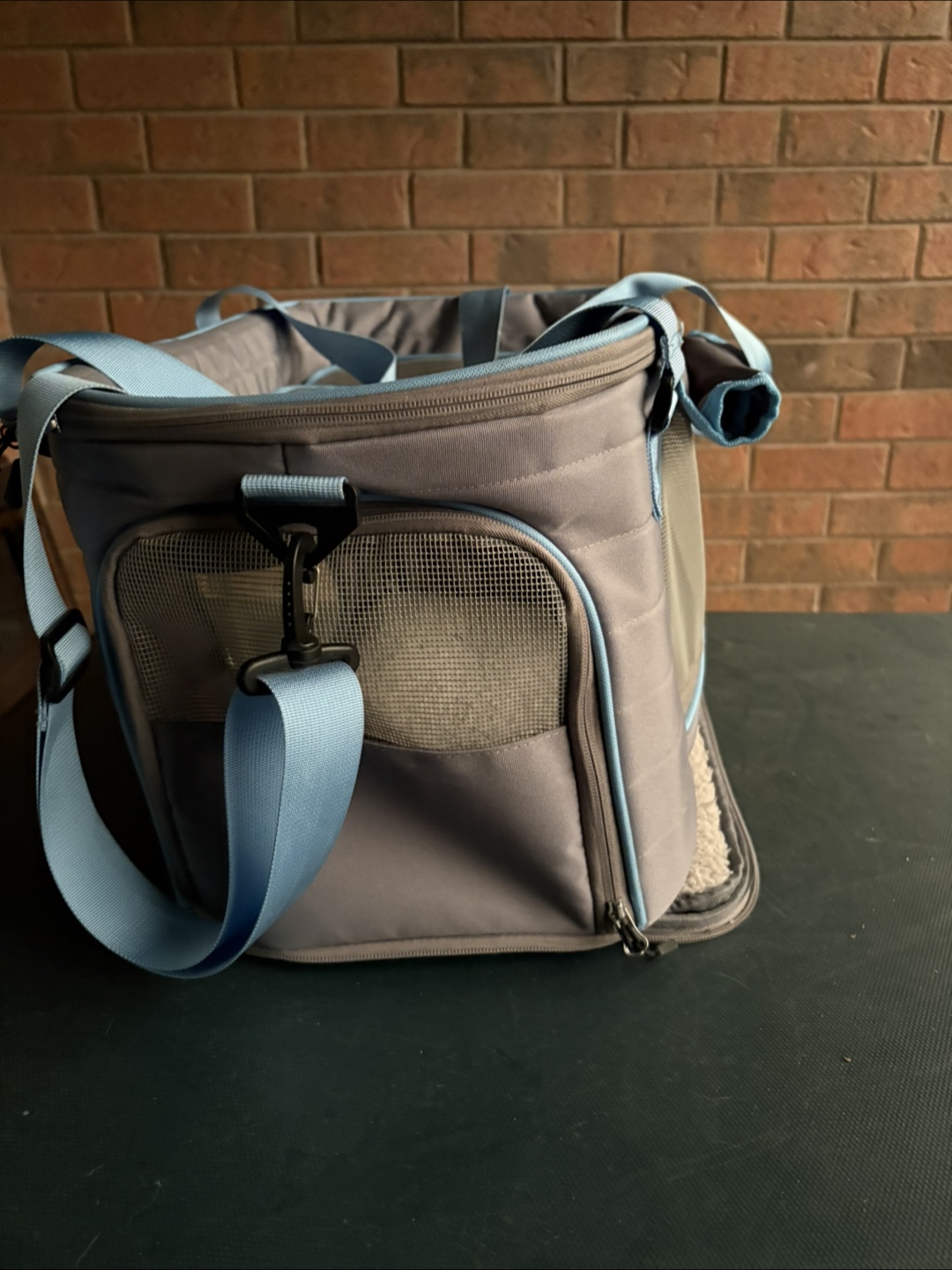 Pet Carrier - photo 2