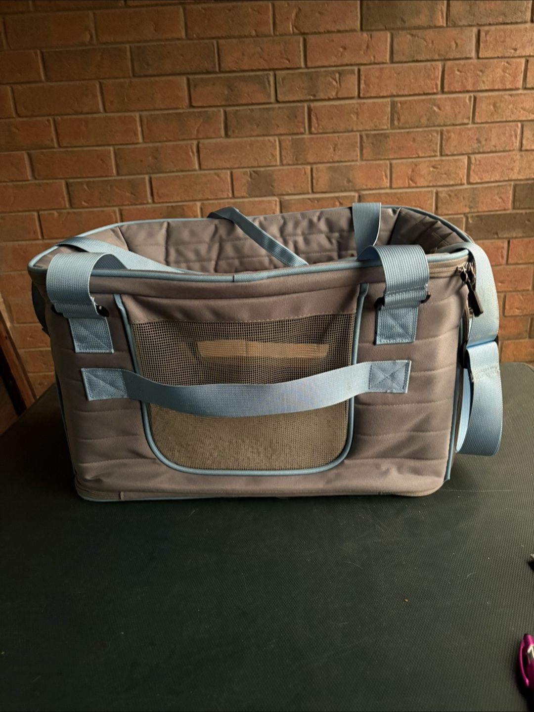 Pet Carrier