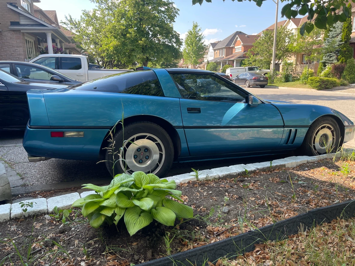 Blue Chevrolet Corvette