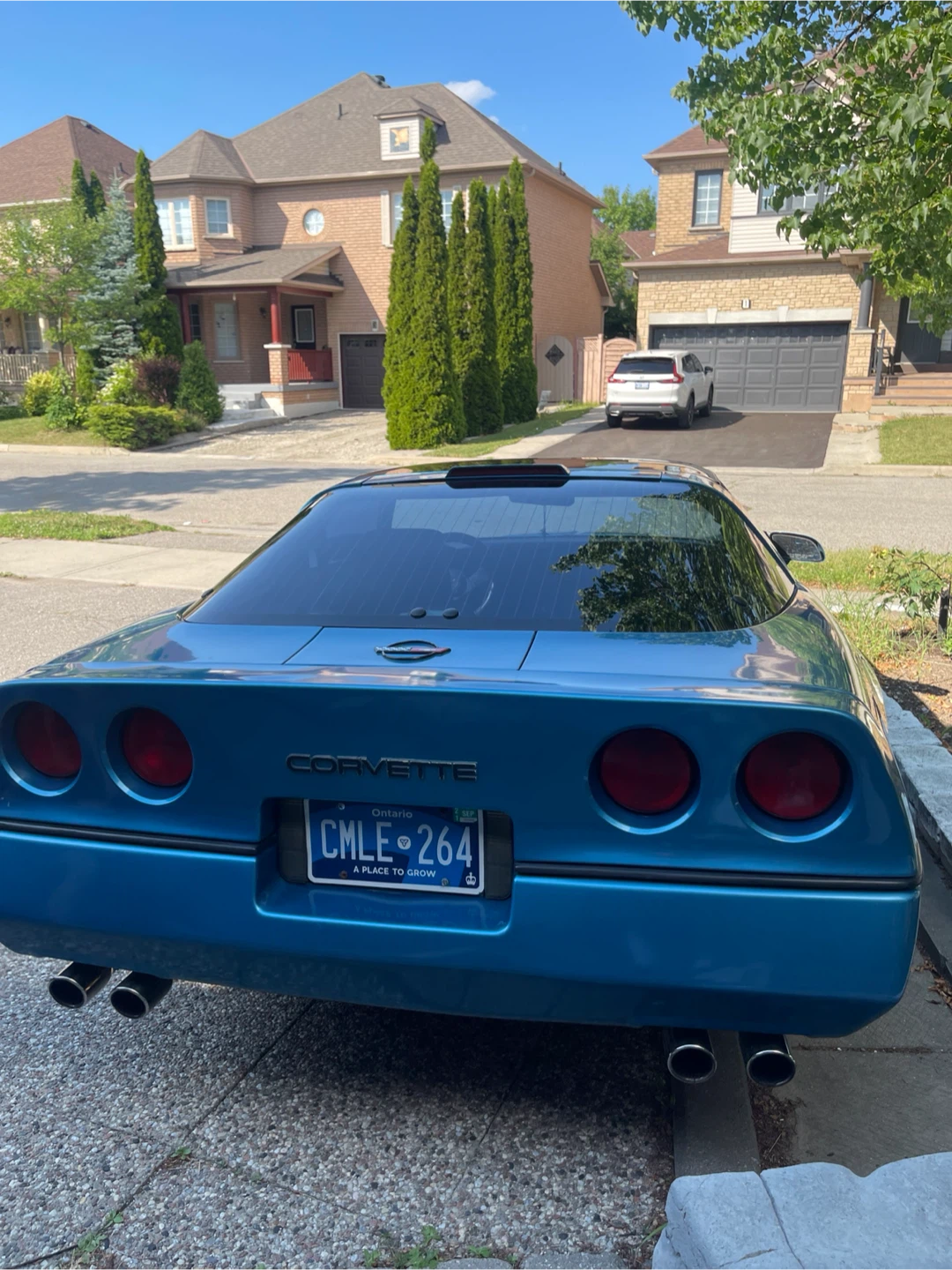 Blue Chevrolet Corvette - photo 4