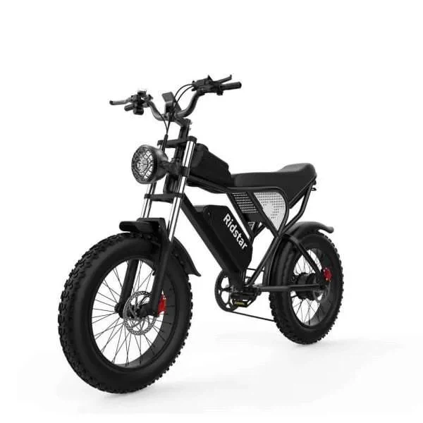 Ridstar Electric Fat Bike