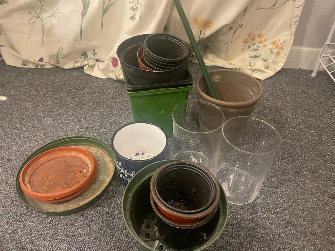 Mixed lot of plant pots and saucers