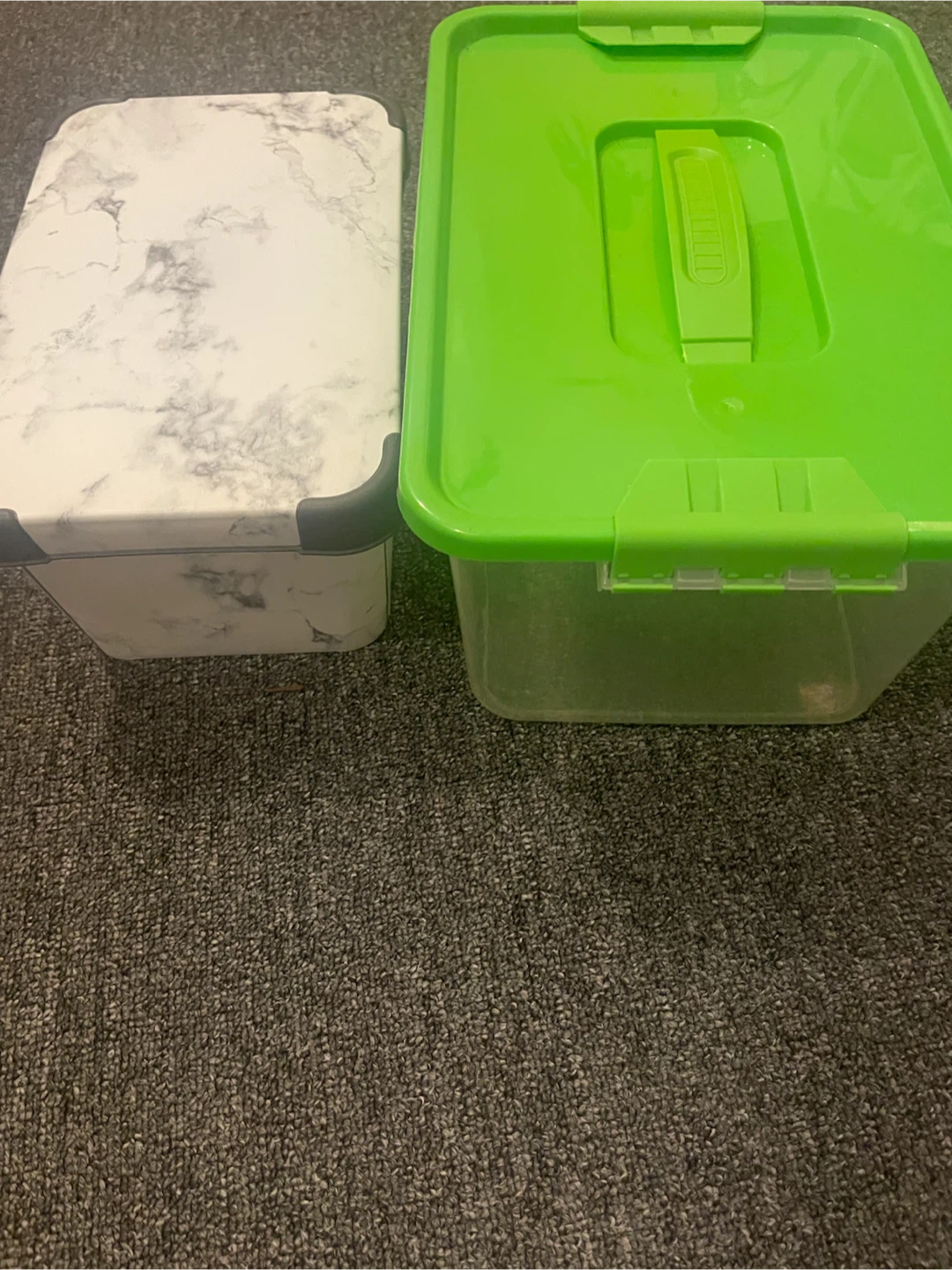 Plastic Storage Bins with Lids