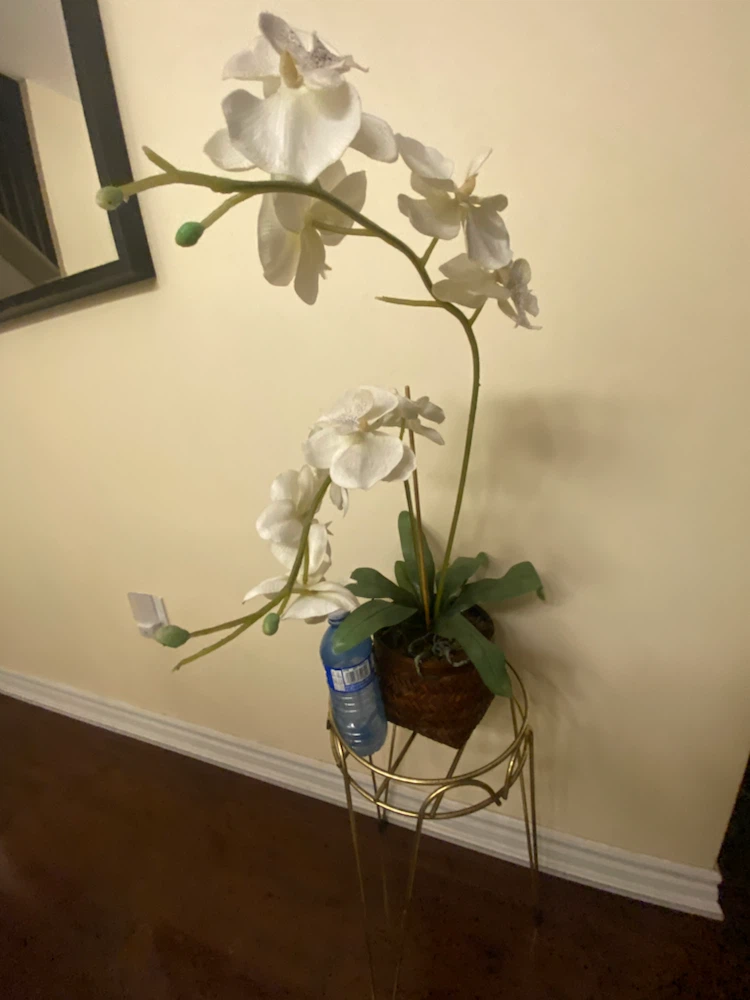 Artificial White Orchid Plant