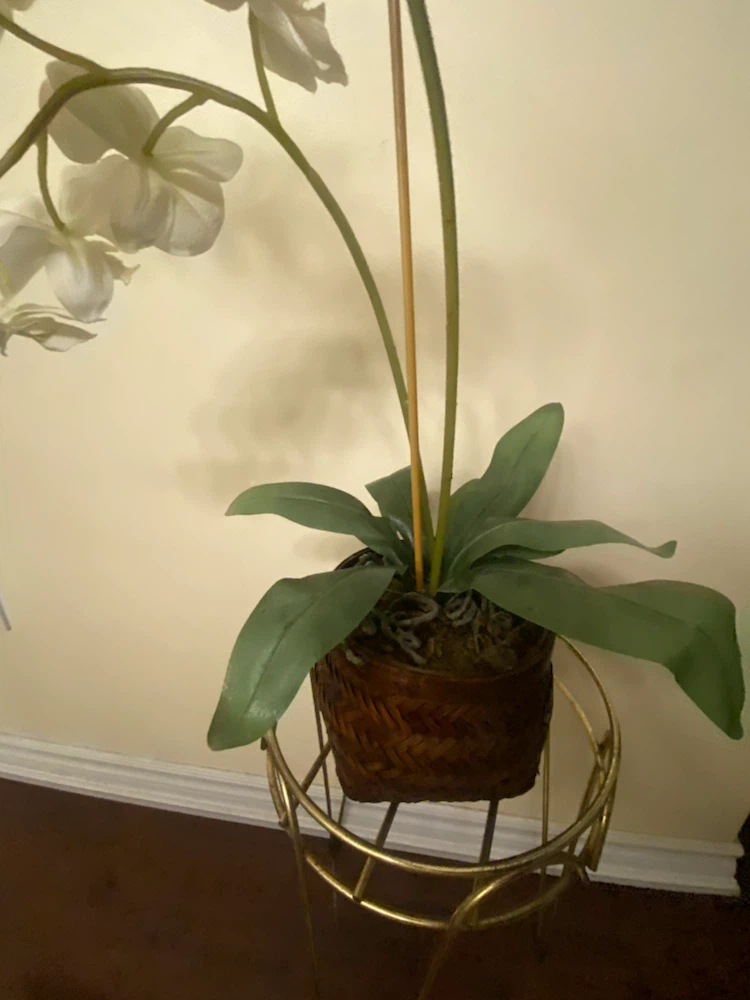 Artificial White Orchid Plant - photo 3